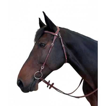 Brida Flags & Taça Freedom