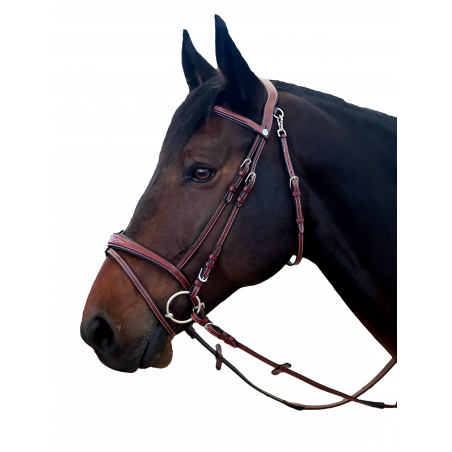 Brida Flags & Cup Nueva York