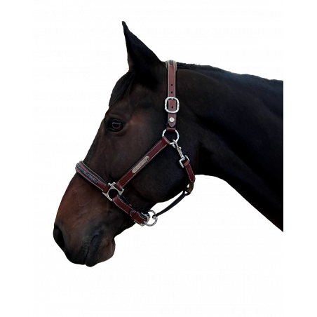 Cavezón Aachen Flags & Cup