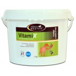 vitaminas Vitamix Horse Master