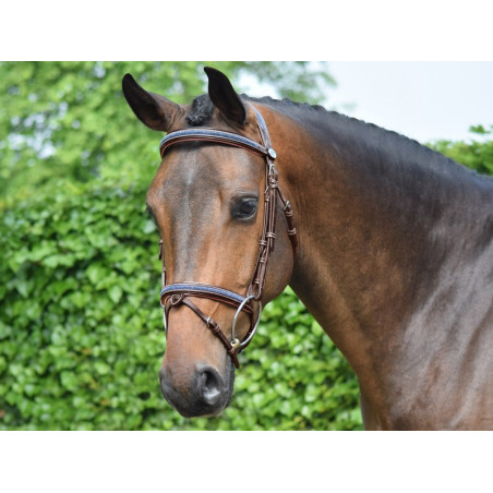 Filete Jump'In Crystal muserola combinada Week