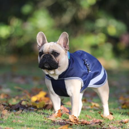 Manta para perro Bucas Freedom 150g