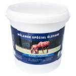 mse especial cuadra Greenpex