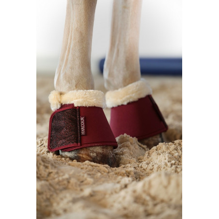 Campanas Harcour Belly