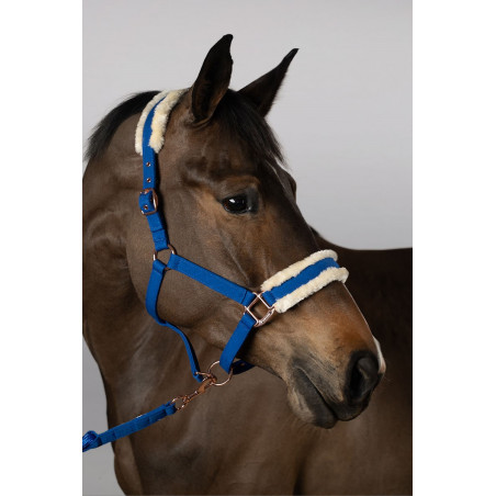 Cabezada y ramal Harcour Holly