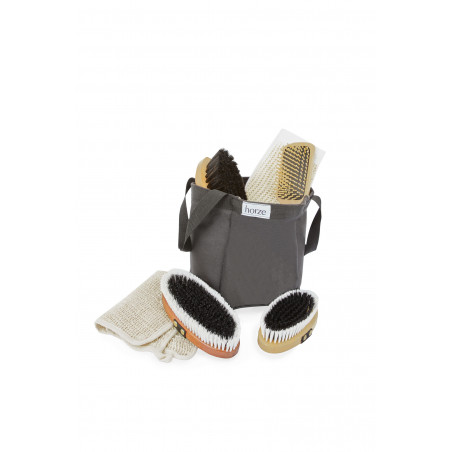 Set de limpieza madera Horze