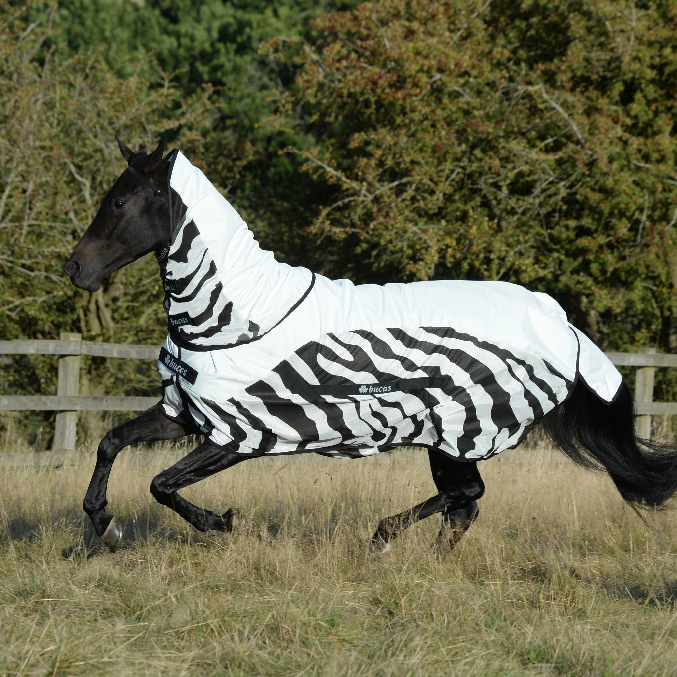 Cubre-moscas Bucas Buzz-Off Rain Zebra con cuello Cubre-moscas Bucas Buzz-Off Rain Zebra con cuello