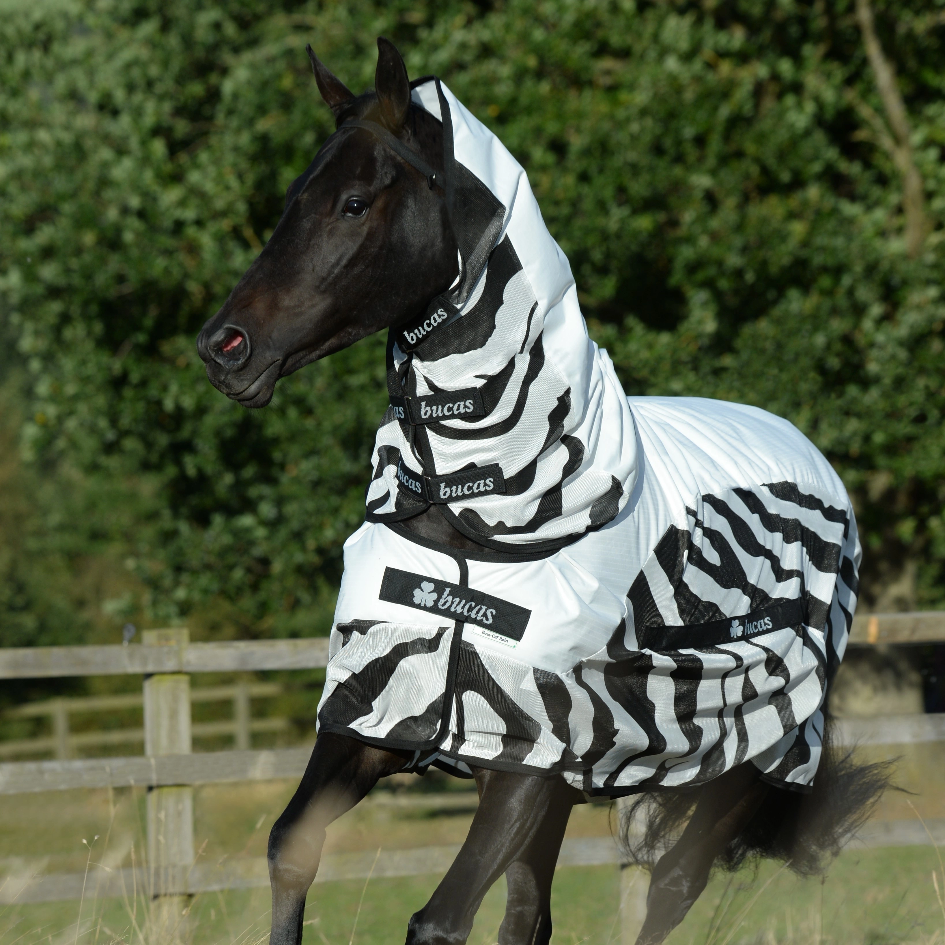 Cubre-moscas Bucas Buzz-Off Rain Zebra con cuello Cubre-moscas Bucas Buzz-Off Rain Zebra con cuello