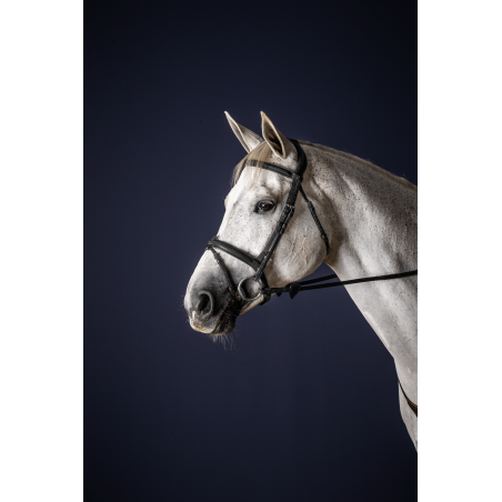 Brida Muserola Combinada Dy'on Colección New English