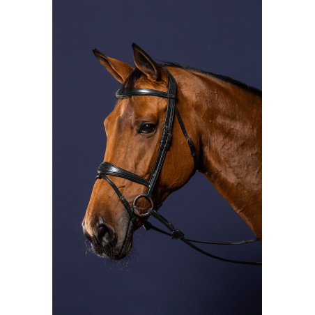 Brida Muserola Combinada Anatómica Dy'on New English Collection