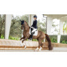 Almohadilla amortiguadora LeMieux dressage square ProSorb 2 Bolsillos - Blanco