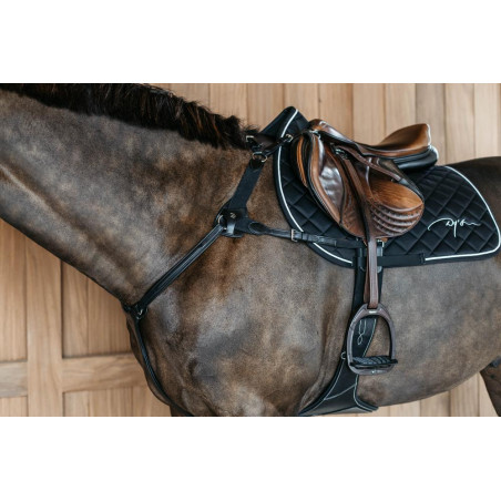 Pechopetral de 5 puntos con elásticos New English Collection Dy'on