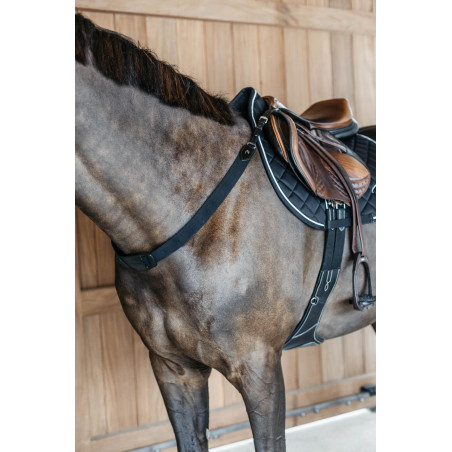 Pechopetral elástico New English Collection Dy'on