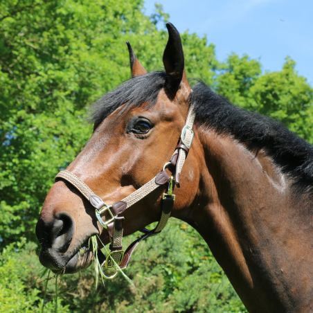 Cabezada de Nylon Trenzado Kentucky