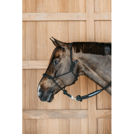 Cabezada etológica Dy'on