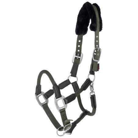 Cabezada Cordano Covalliero