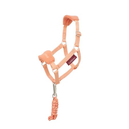 Cabezada para hobby horse LeMieux
