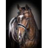 Brida LeMieux Kudos Doble - Negro / blanco