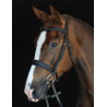 Brida Collegiate con muserola Mono Crown - Negro