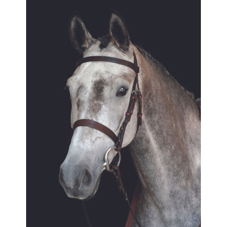 Cabezada de Trabajo Collegiate Cavesson IV