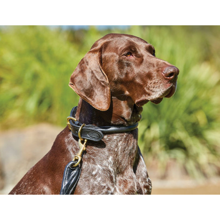 Collar para perro Weatherbeeta de cuero redondo