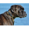 Collar de cuero para perro Weatherbeeta - Negro