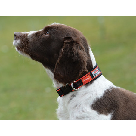 Collar para perro Weatherbeeta Therapy-Tec