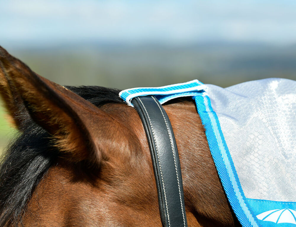 Manta antimoscas Combo Weatherbeeta ComFiTec Hexi Shield Plata / azul marino