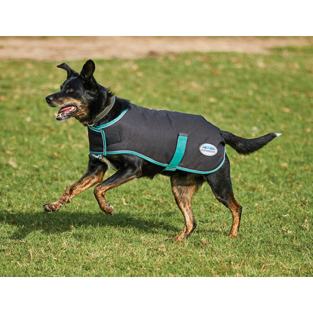 Manta para perro 220g Weatherbeeta Green-Tec 900D