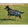 Manta para perro 220g Weatherbeeta Green-Tec 900D - Negro / verde botella