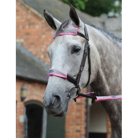 Kit de 4 piezas reflectantes para brida Weatherbeeta