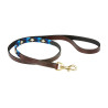 Correa para perro Weatherbeeta de cuero Polo - Marrón cowdray / azul / azul