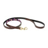 Correa para perro Weatherbeeta de cuero Polo - Marrón cowdray / violeta / violeta