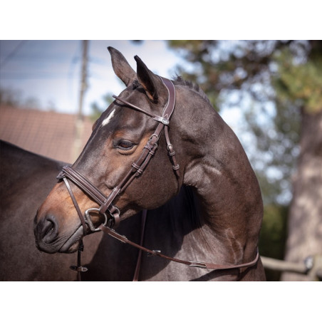 Brida Friday muserola combinada Jump'In week