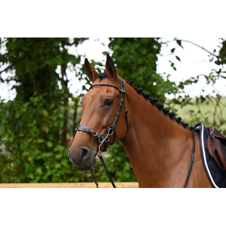 Brida Hackamore Jump'In week