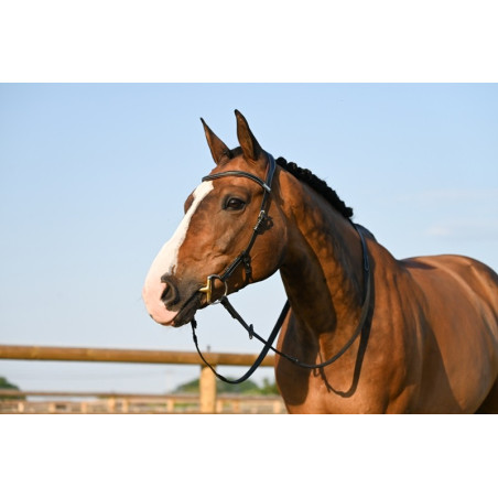 Brida Liberty Jump'In One