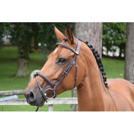 Brida Thursday muserola combinada Jump'In week