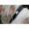 Collar para perro Jump'In - Negro