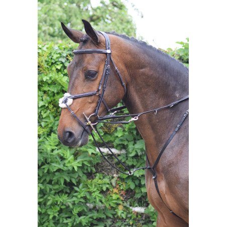 Enrénamiento Jump'In Howlett