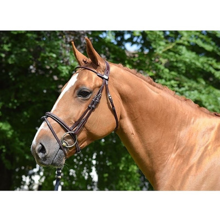 Filete Jump'In Monday muserola combinada week