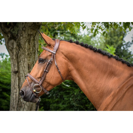 Filete Jump'In Paris One