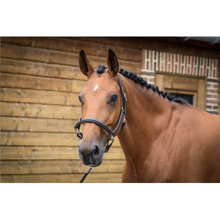 Cabezada de cepillado Jump'In One