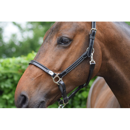 Cabezada de cepillado Jump'In week