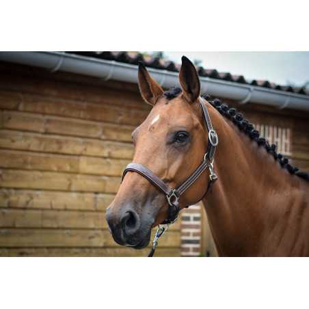 Cabezada Fancy Jump'In One