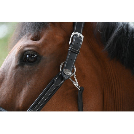 Cabezada Wednesday Jump'In week