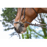 Muserola alemana con cadena Jump'In Week - Havana