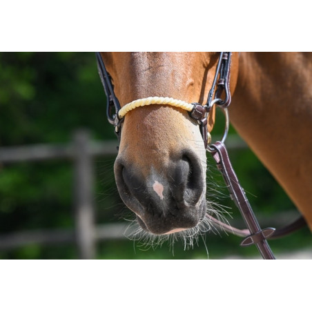 Muserola alemana cuerda Jump'In Week