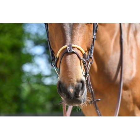 Muserola combinada cuerda Jump'In