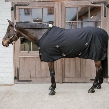 Camisa de algodón Kentucky