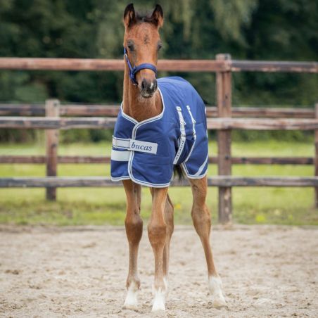 Manta para potro Bucas Turnout 50g